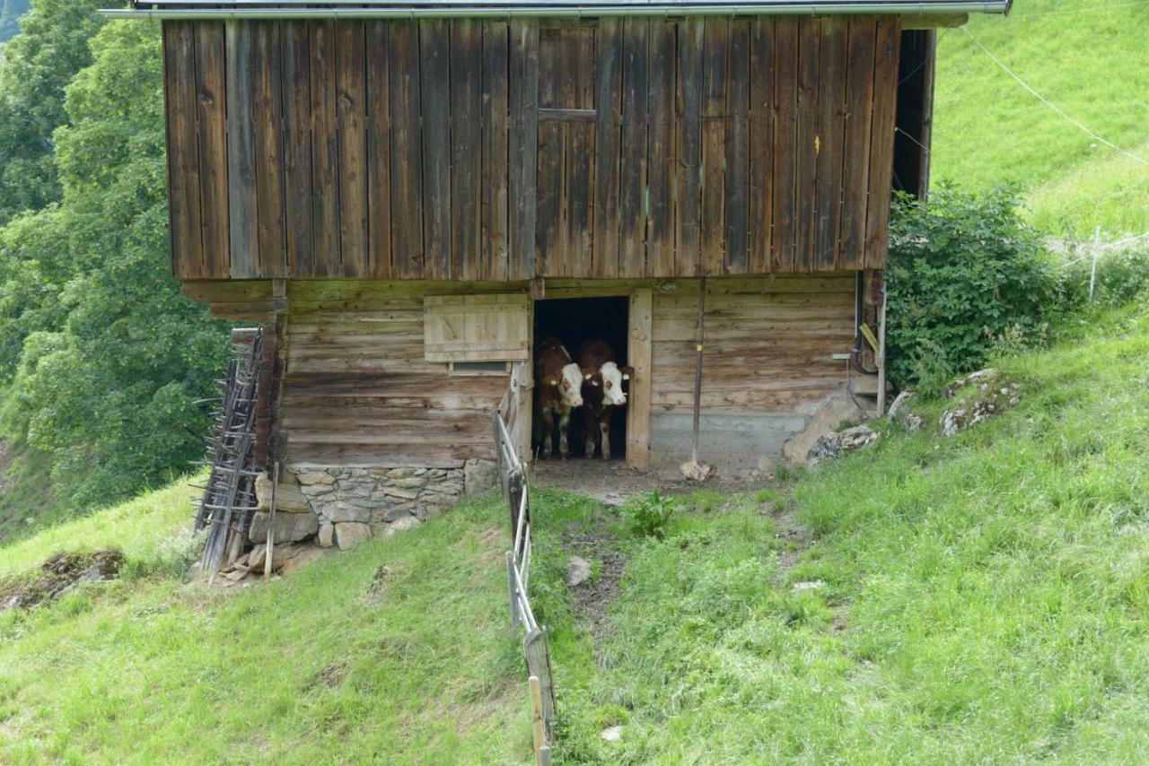 Bergpension-Ebental Brixen im Thale Exterior foto